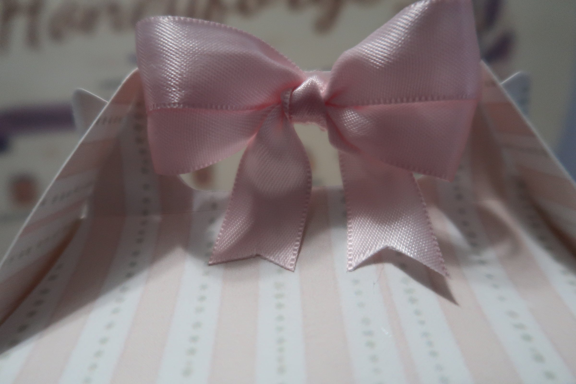 Personalized Goose Birthday Favor Box | One Silly Goose Party Box |Goose Birthday Decorations | Pink Bow Party Favor