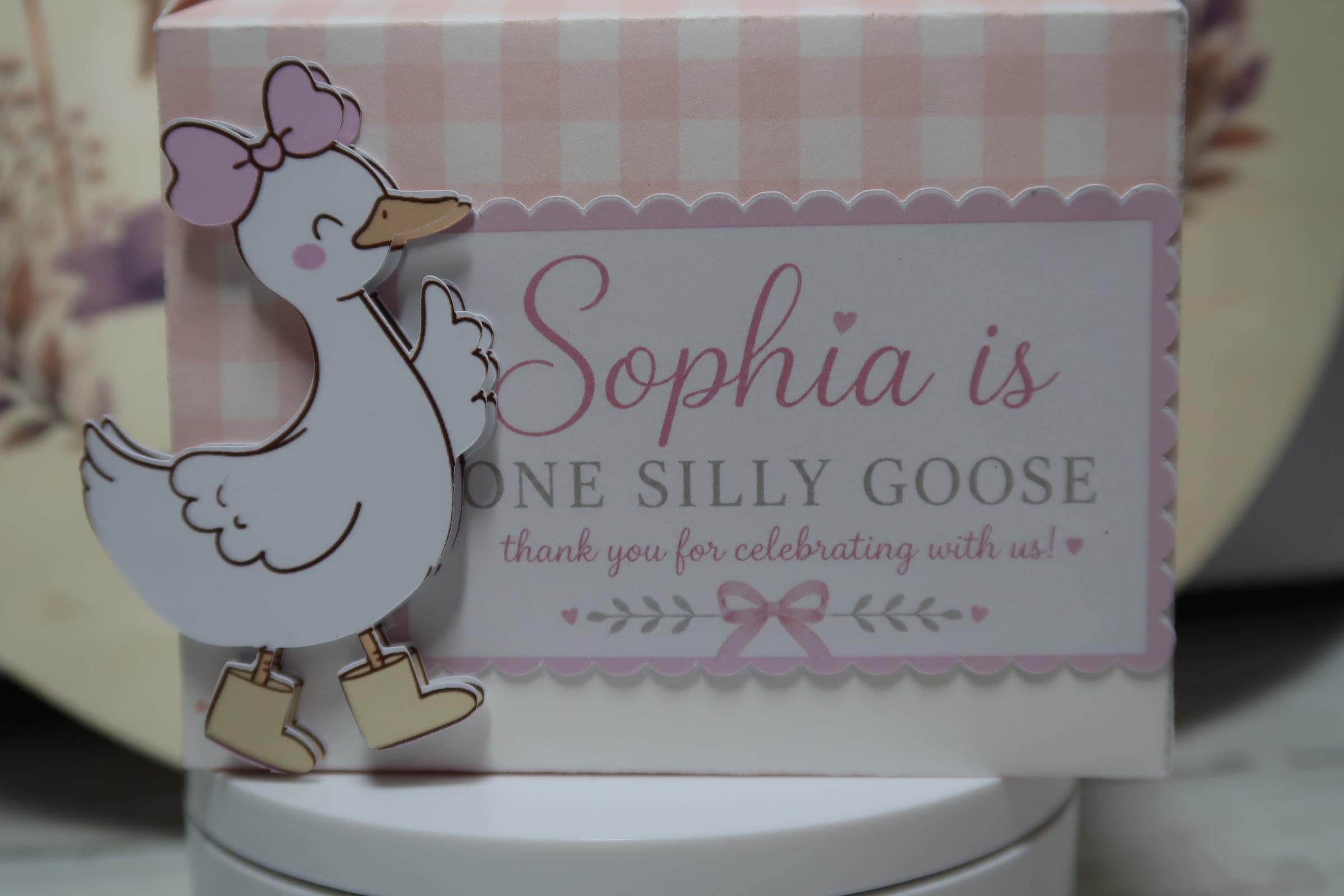 Personalized Goose Birthday Favor Box | One Silly Goose Party Box |Goose Birthday Decorations | Pink Bow Party Favor