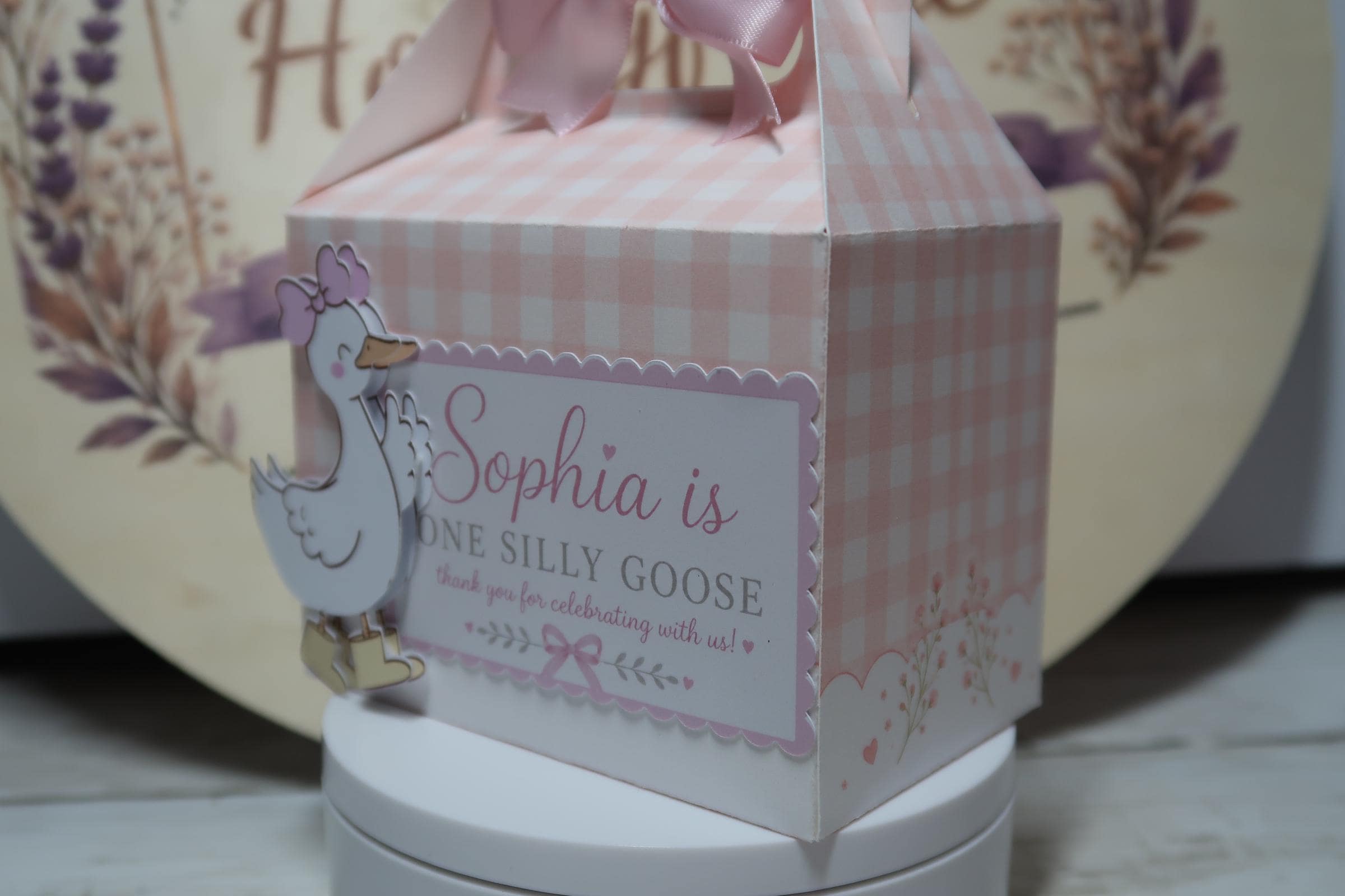 Personalized Goose Birthday Favor Box | One Silly Goose Party Box |Goose Birthday Decorations | Pink Bow Party Favor